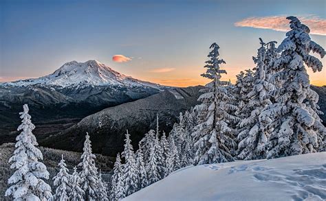 Pacific Northwest - CAW Network USA