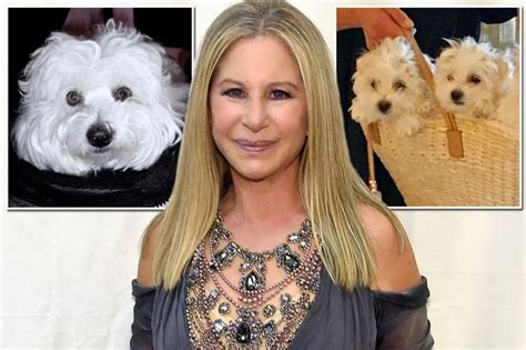 Barbara Streisand reveals the rather creepy reality of cloning her dead ...