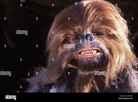 Head shot of actor in Star Wars Wookie Chew Baka costume at MGM studios ...