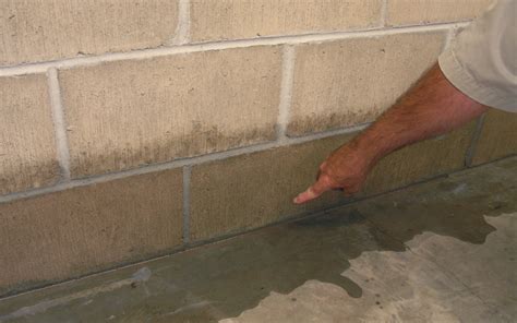 Cracks In Basement Floor Leaking Water – Clsa Flooring Guide