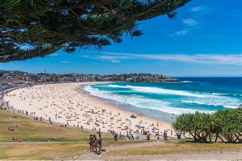 "Bondi Beach" Art Prints by DavidMay | Redbubble