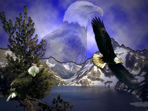 Bald Eagle Wallpaper Screensavers - WallpaperSafari