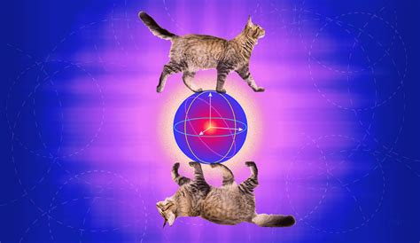 Quantum Company Alice & Bob Announce New Advances in Cat Qubits ...