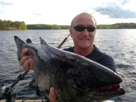 Lake Saimaa fishing travels: Lake Saimaa Fishing July