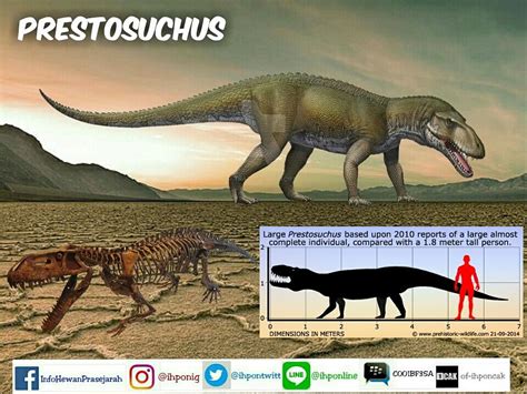 Saurosuchus Vs Postosuchus