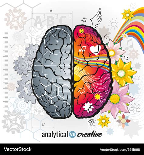 Left analytical and right creativity brain Vector Image