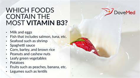 Which Foods Contain The Most Vitamin B3?