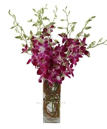 Dendrobium Orchids Square Vase Arrangement Miami Florida by Trias Flowers