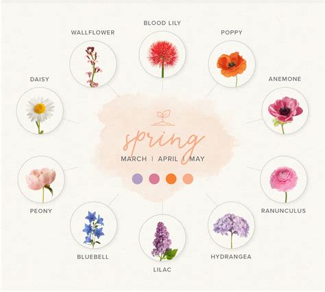 A Guide to Choosing Seasonal Blooms for Your Wedding Flowers