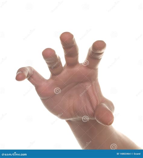 Well Shaped Men Hand Reaching For Something Stock Photo - Image of gesture, part: 14803464