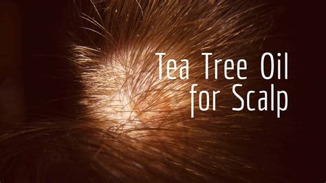 Tea Tree Oil for Scalp Problems