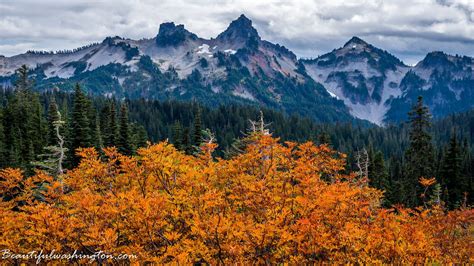 List of National Parks located in Washington