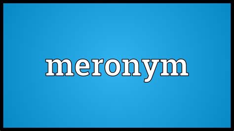 Meronym Meaning - YouTube