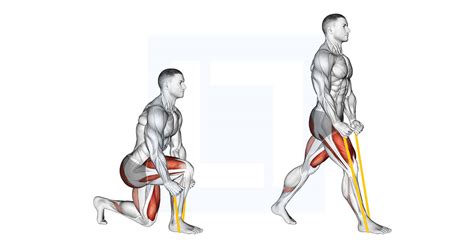 Resistance Band Split Squat - Guide, Benefits, and Form