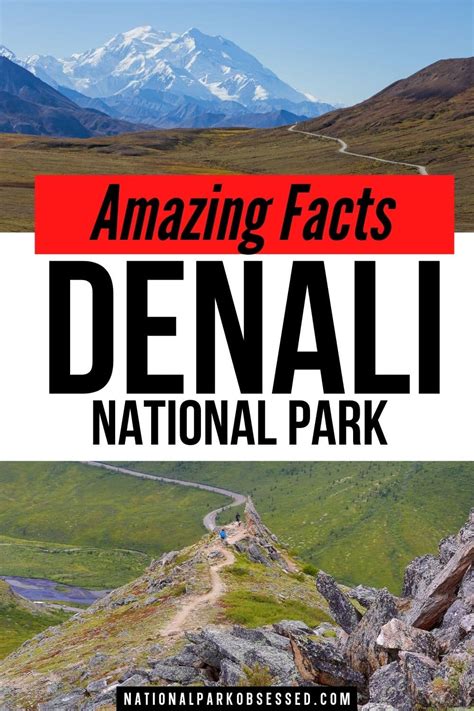 35+ Extraordinary Denali Facts & Statistics - National Park Obsessed