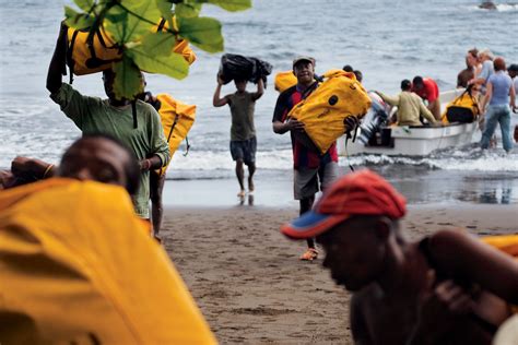 Bioko Island: a threatened African treasure