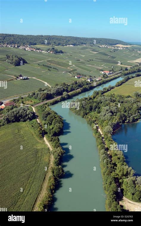 France Marne the Marne river and the vineyards of Champagne near ...