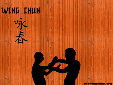 🔥 [72+] Wing Chun Wallpapers | WallpaperSafari