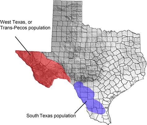 It's time to manage mountain lions in Texas - Elbroch - 2022 - Wildlife Society Bulletin - Wiley ...