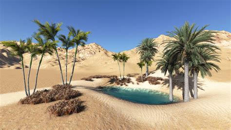 Desert Oasis Wallpapers - Wallpaper Cave