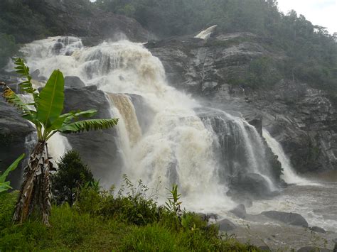 Ranomafana National Park | Liz Day | Flickr