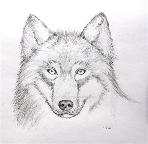 Wolf Face Pencil Drawing (Mark Crilley Video) by LadyImperfectus on ...