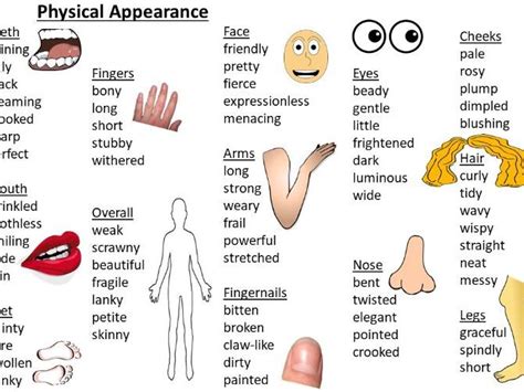 Examples Of Character Descriptions