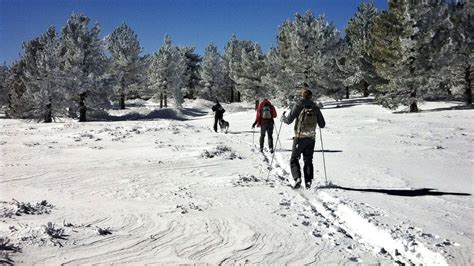 mt-pinos-snow-day-1024x576 - ShowMeHome.com