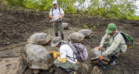 Scientific tour of the Galapagos will have four Nobel Prize winners in attendance - The Cuenca ...