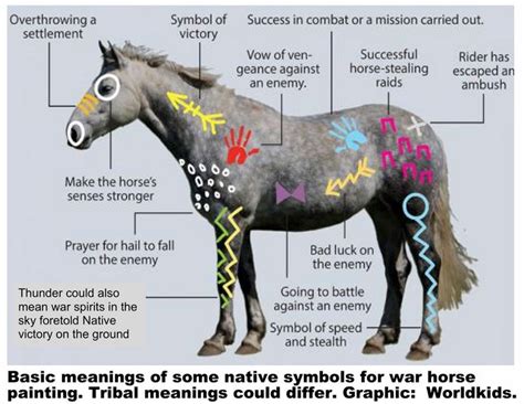 Indian Warhorse Paint in 2021 | Native american horses, Horses, Indian horses