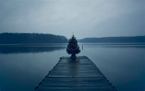 Christmas Tree On Pier, HD Nature, 4k Wallpapers, Images, Backgrounds, Photos and Pictures