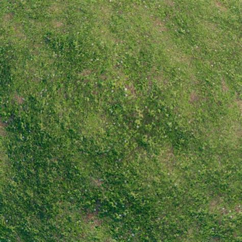 Roblox Grass Texture Image ID