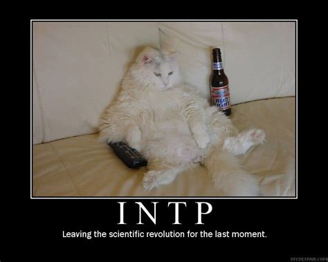 Introverted Intuitive Thinking Perceiving Personality Type MBTI | Funny pictures, Motivation ...