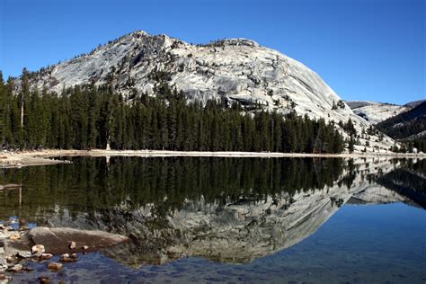 Free photo: Lake Reflection - Yellow, Sun, Pond - Free Download - Jooinn