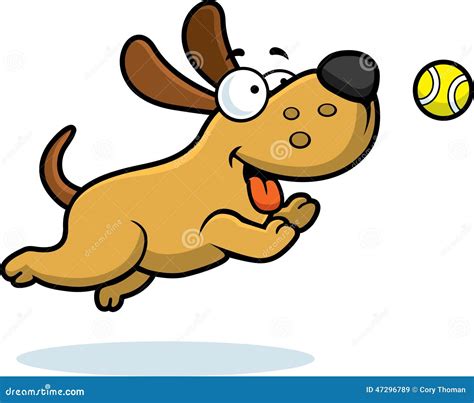 Why Do Dogs Chase After Balls