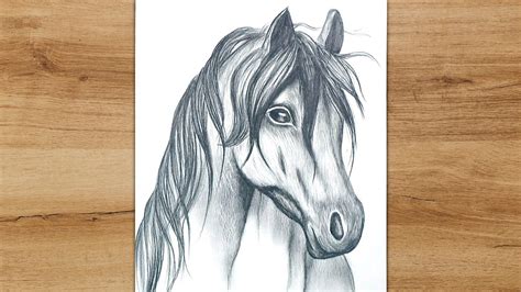 How To Draw A Realistic Horse Easy