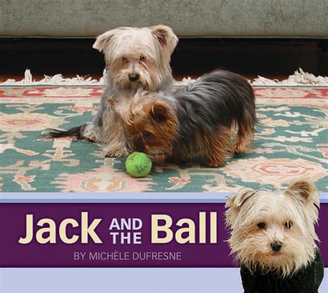 Jack and the Ball – Pioneer Valley Books