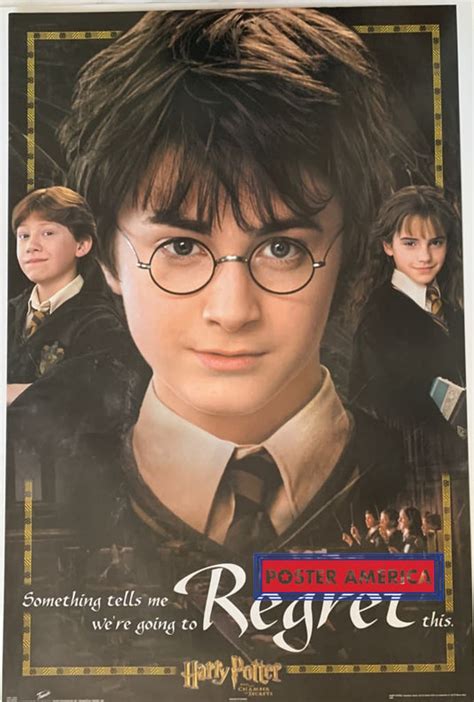 Harry Potter and the Chamber of Secrets Movie Poster 22 X 34 – PosterAmerica