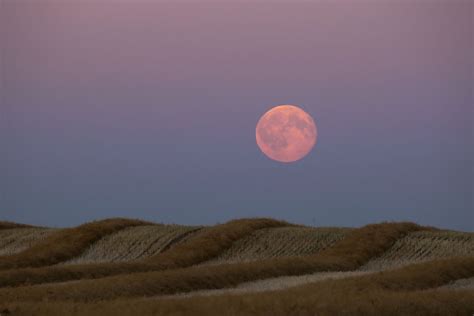 September's Full Moon, the Harvest Moon