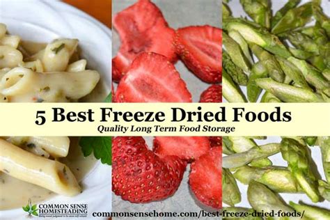 5 Best Freeze Dried Foods - Quality Long Term Food Storage