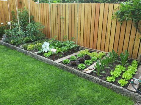 Information You Should Know About Organic Vegetable Gardening ...