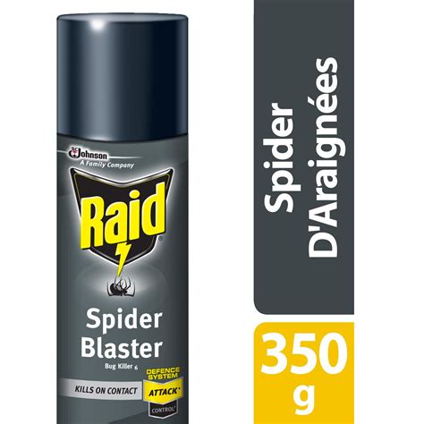 Raid Spider Blaster Insect Killer - 350g | Walmart Canada