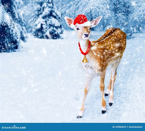 Christmas Deer in Winter Forest with Snow Fall Stock Image - Image of ...