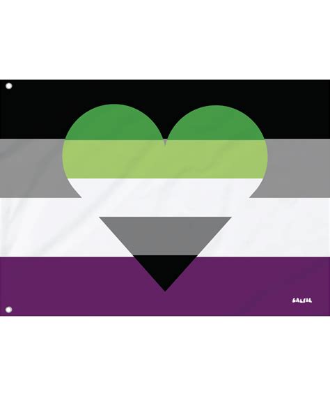 The Aromantic Asexual Pride Flag | Galfie