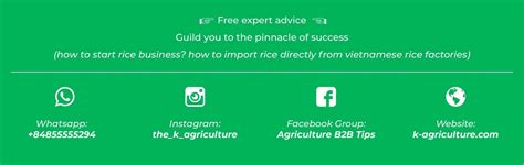 Organic Brown Rice In Bulk: Everything You Need To Know | K-Agriculture