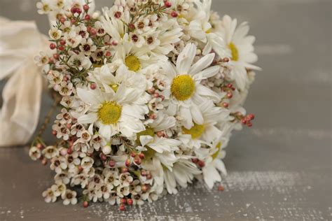 Daisy & Wax Flower DIY Bouquet | Diy wedding bouquet, Bulk flowers online, Wax flowers