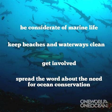 One World One Ocean on Twitter | Ocean conservation, Ocean day, Save ...