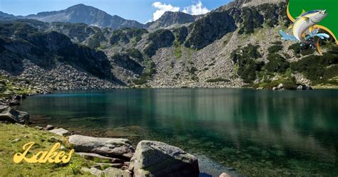 The 8 Best Fishing Lakes in Southern California ~ Captain Dixon