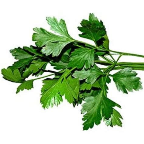 Buy Parsley Online in Nepal | Online Tarkari Pasal