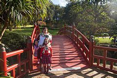 Category:Wollongong Botanic Garden - Wikimedia Commons